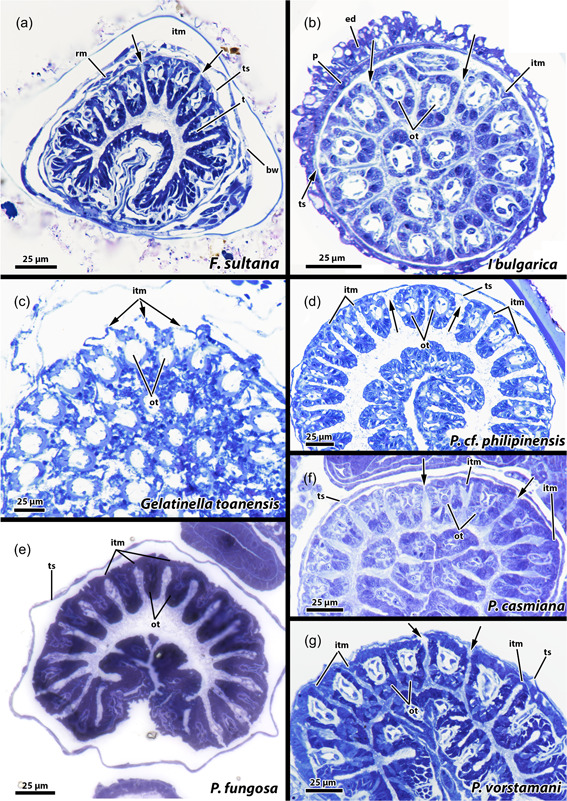 Figure 19