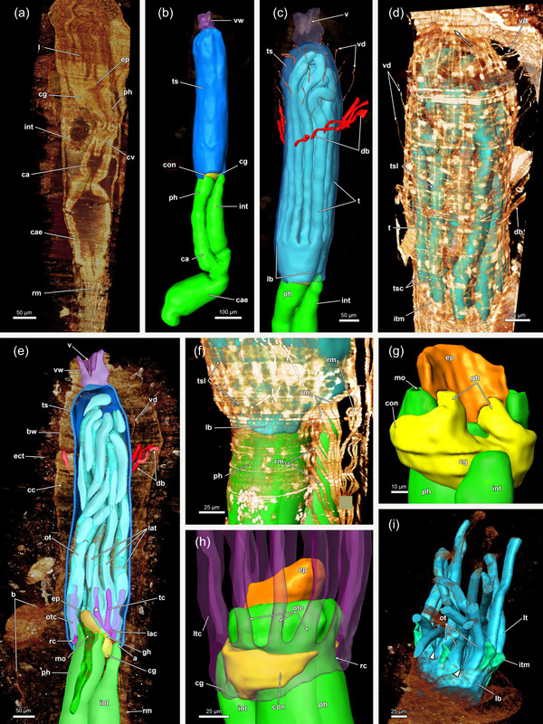 Figure 16