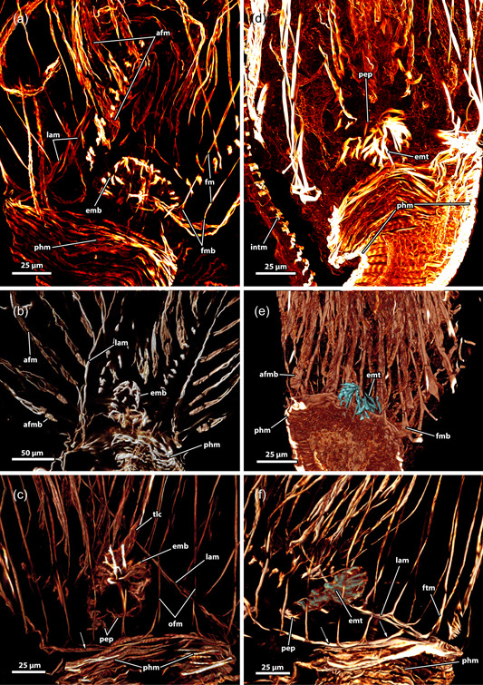 Figure 11