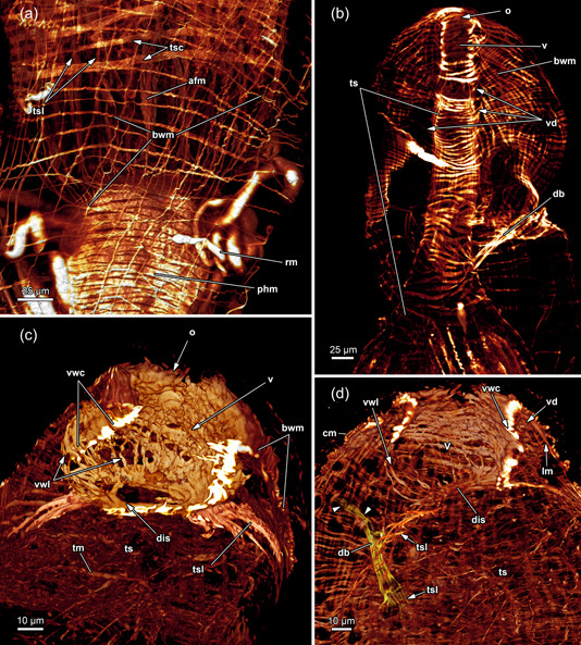 Figure 15