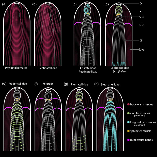 Figure 20