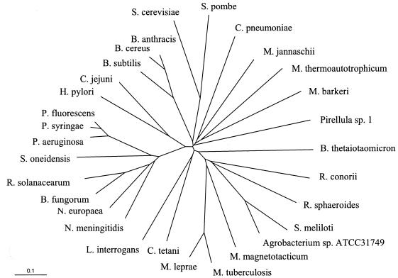 FIG. 8.