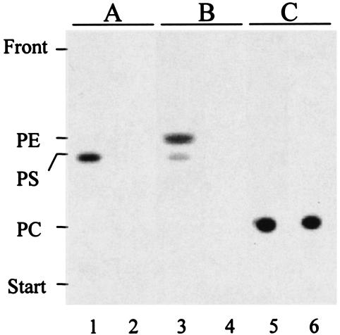 FIG. 2.