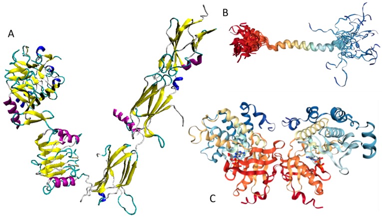 Figure 18