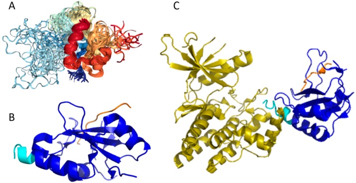 Figure 15