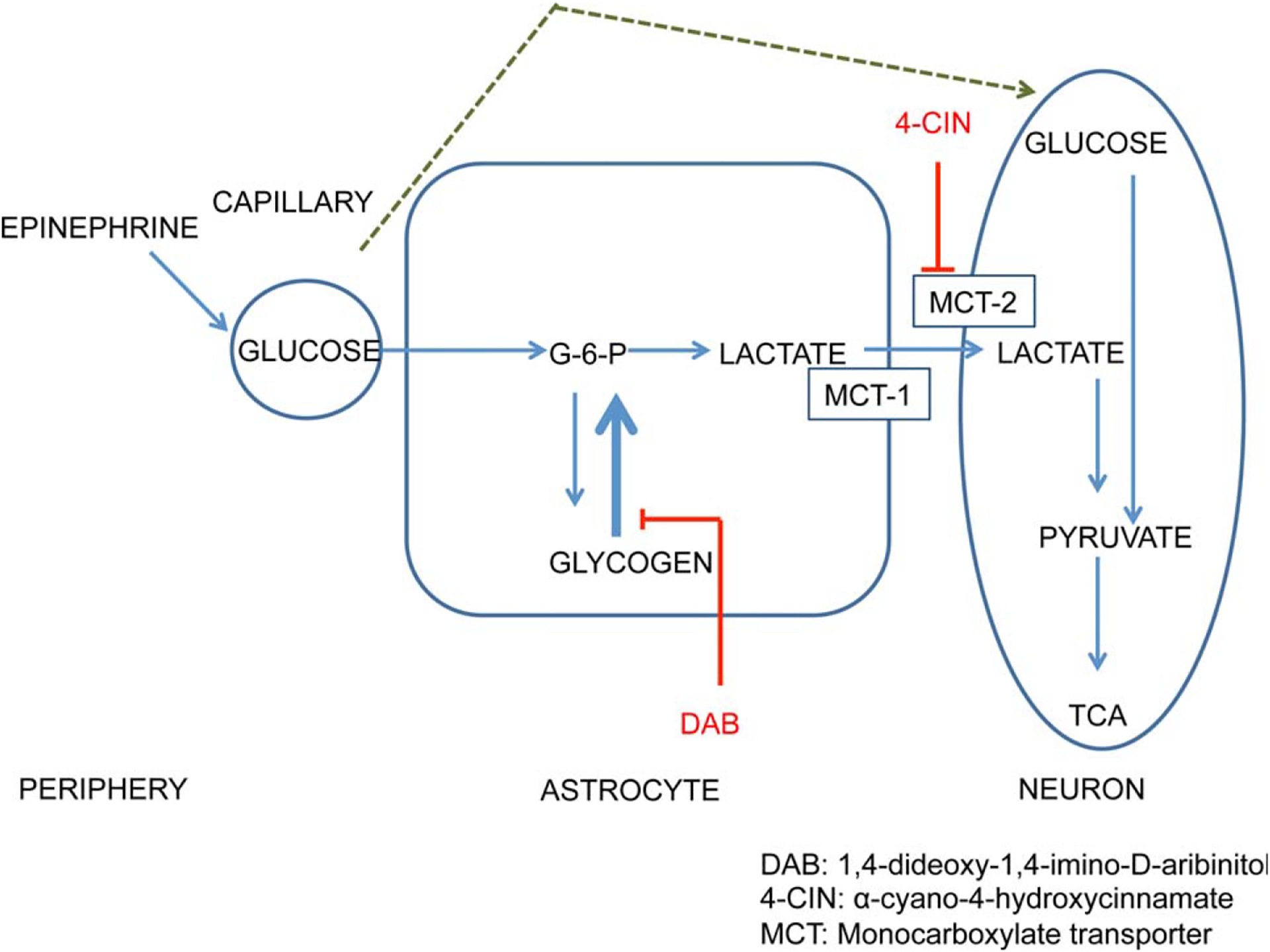 FIGURE 7.