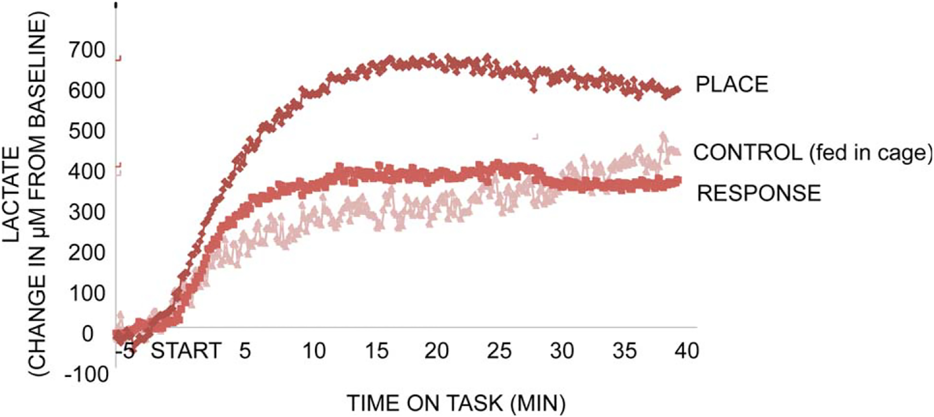 FIGURE 12.