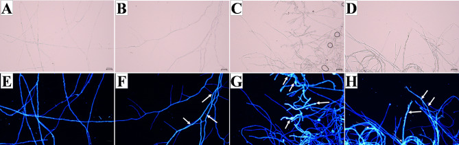 Fig. 9
