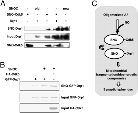 Fig. 6.