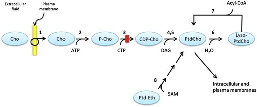 Figure 4