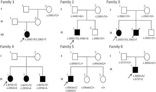 Figure 1