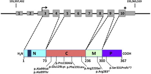 Figure 3