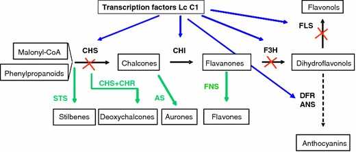 Fig. 1