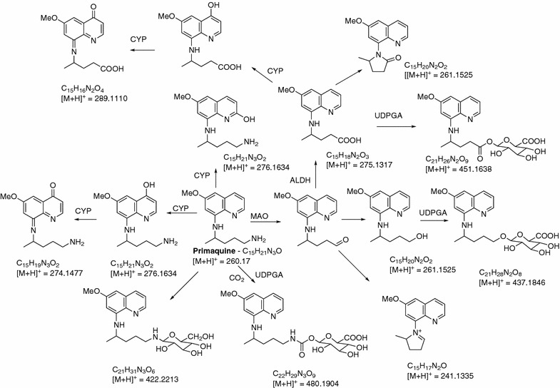 Fig. 1