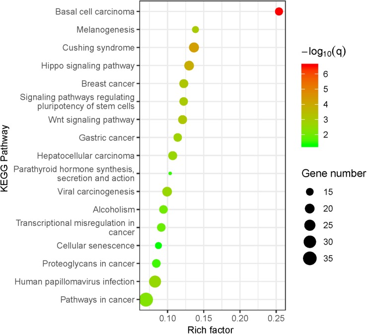 FIGURE 2