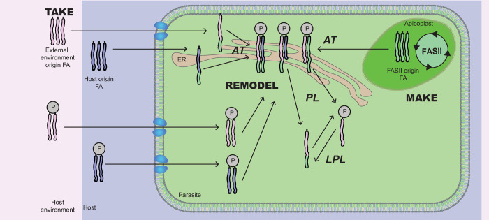 Fig 1