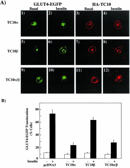 Figure 10.