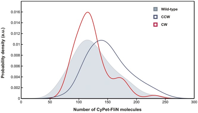 FIG 2 