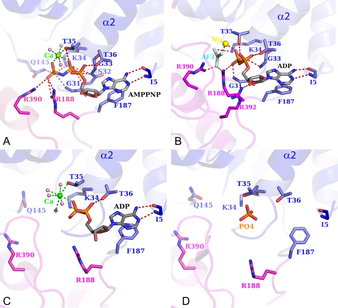 Figure 2.