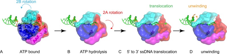 Figure 7.