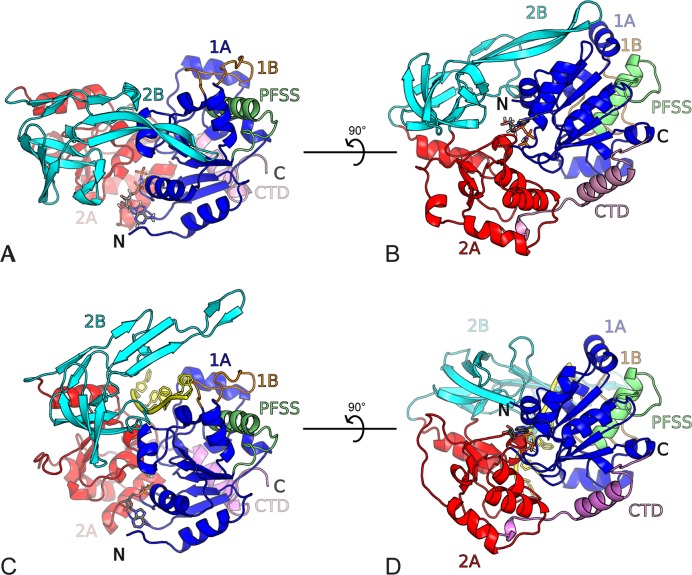 Figure 1.