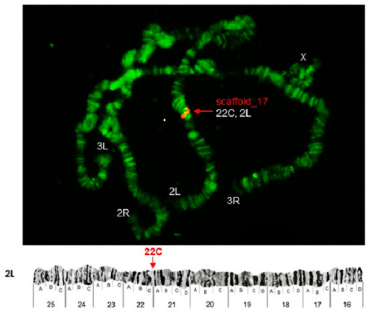 Figure 7