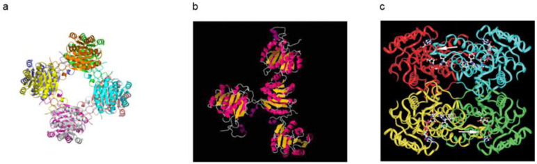 Figure 7