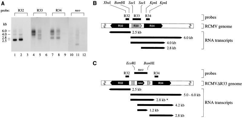 FIG. 7