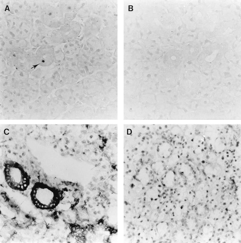 FIG. 10