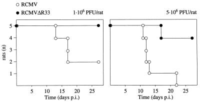 FIG. 9