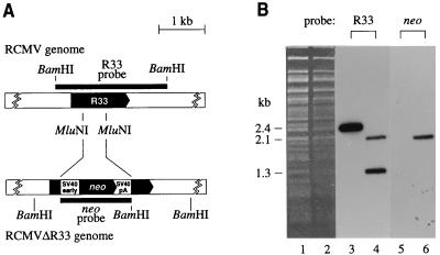 FIG. 6