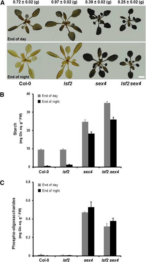 Figure 5.