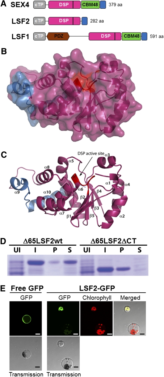 Figure 1.