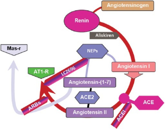 Figure 3.