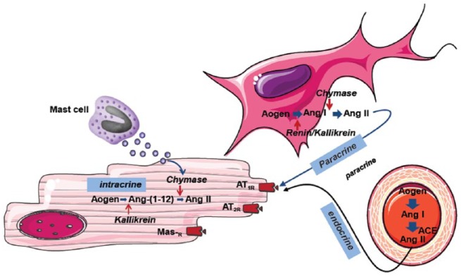 Figure 2.