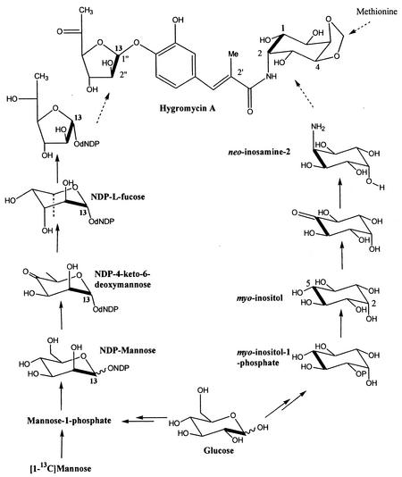 FIG. 2.