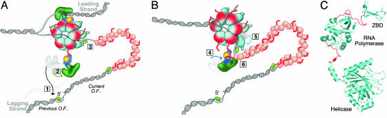 Fig. 8.