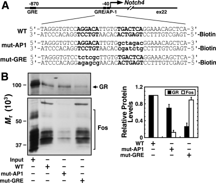 FIG. 6.