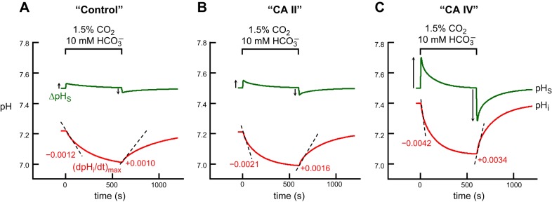 Fig. 6.