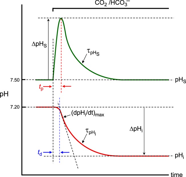 Fig. 2.