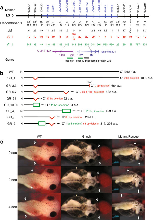 Figure 4