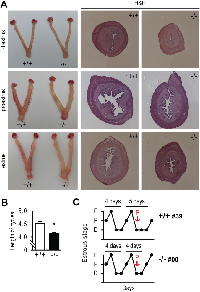 Fig. S4.