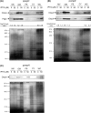 FIG. 8.