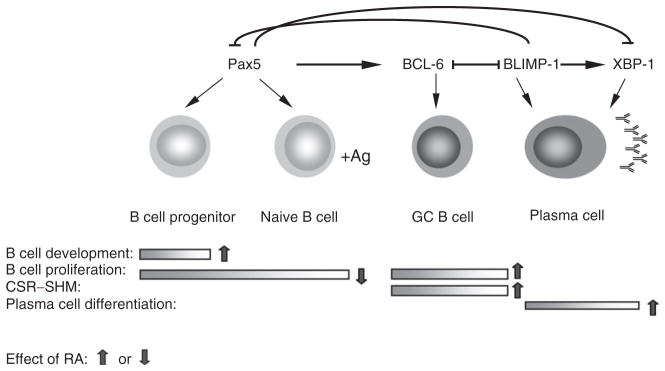 Figure 5.2