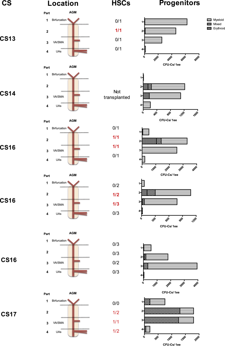 Figure 3