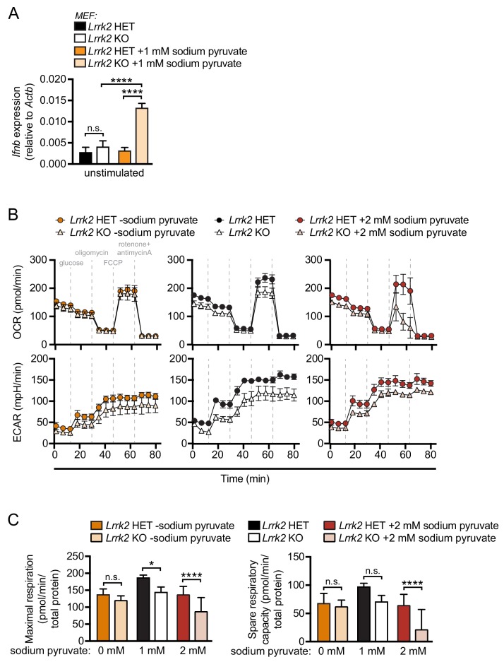 Figure 6—figure supplement 1.