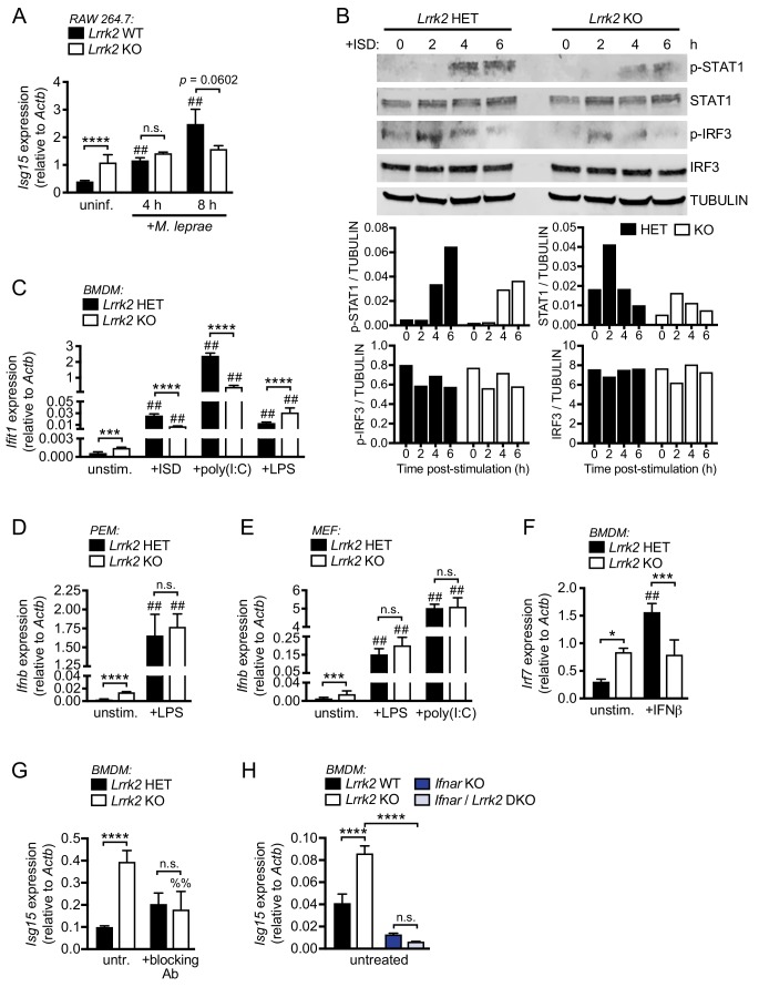 Figure 2—figure supplement 1.