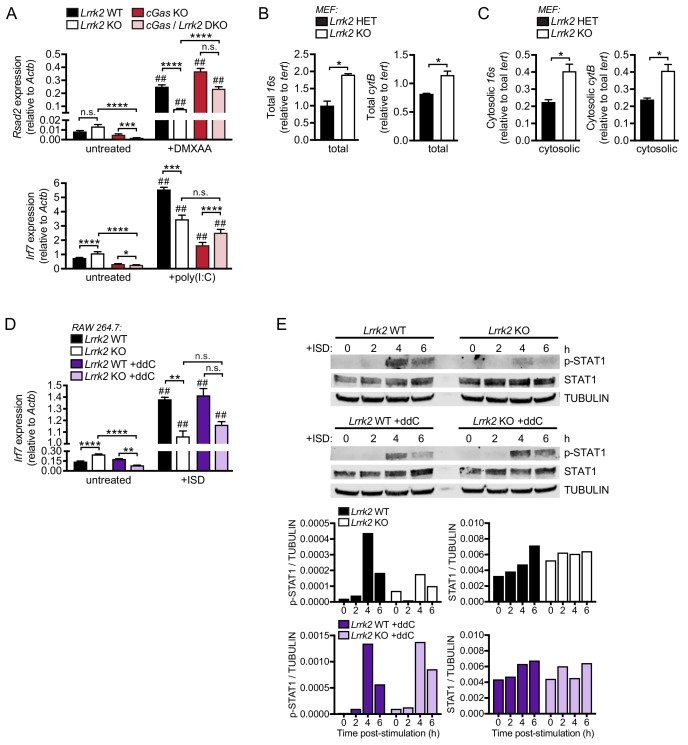 Figure 3—figure supplement 1.