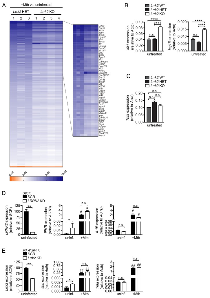 Figure 1—figure supplement 1.