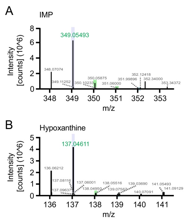 Figure 7—figure supplement 1.